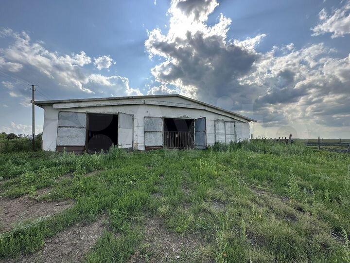 Свободного назначения, 1500 м²