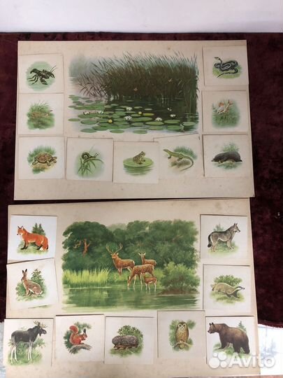 Зоологическое лото СССР 1968г