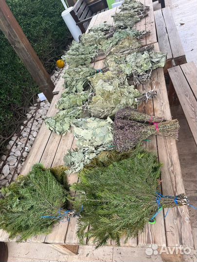 Веник дубовый прошлогодние