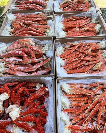 Краб камчатский