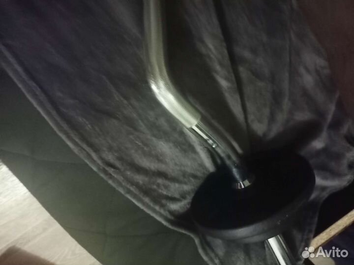 Гриф изогнутый, блины