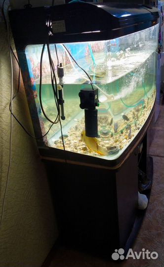 Аквариум Jebo 3126 300 литров