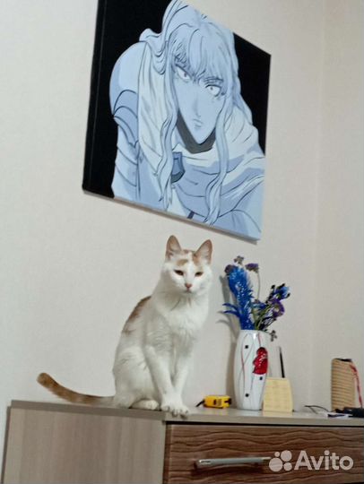 Мурик