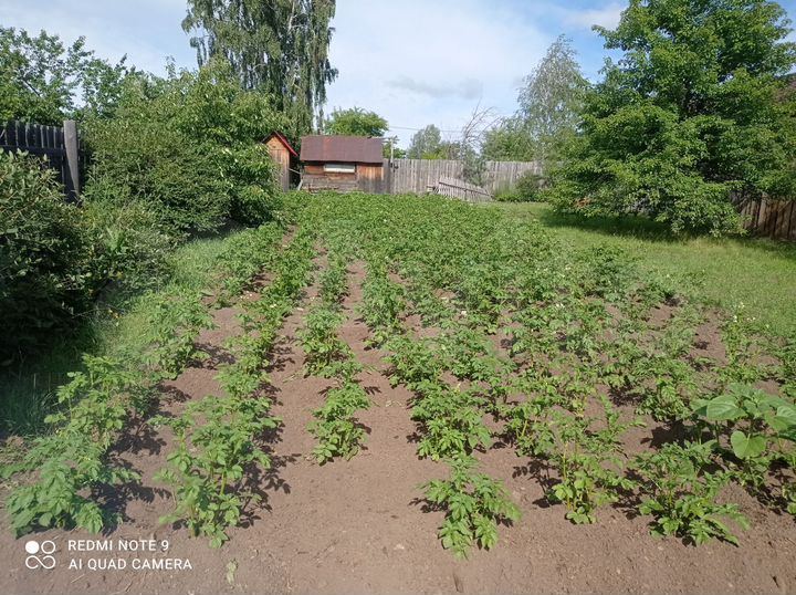 Дача 30 м² на участке 6 сот.