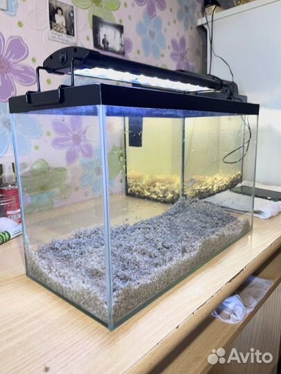 Аквариум 20 литров