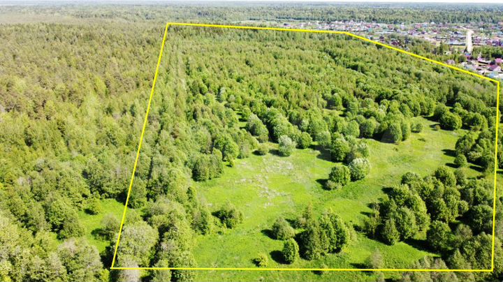 Участок 10 сот. (СНТ, ДНП)