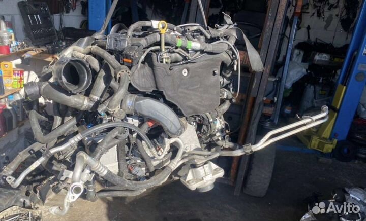 Land Rover, Jaguar pt204 2021г.в