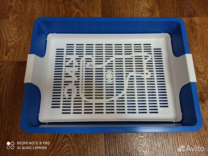 Шлейка и лоток для кошки или маленькой собачки