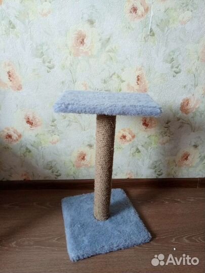 Когтеточка