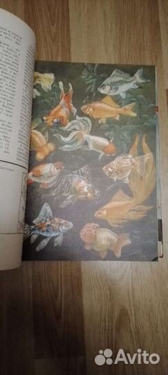 Жизнь животных