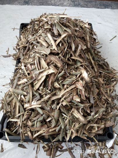 Резаная кора молодой осины сбор окт. - дек. 2024