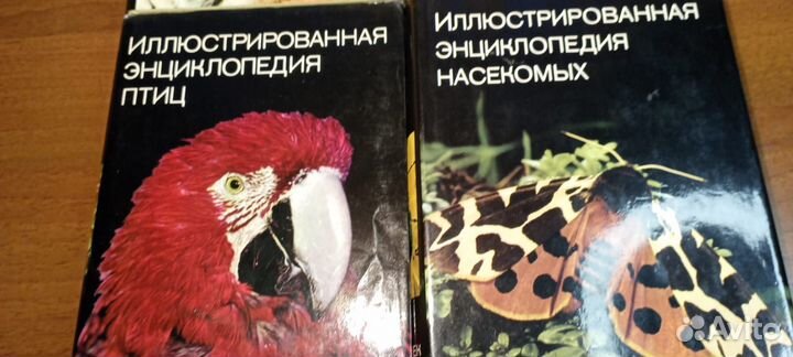 Иллюстрированная энциклопедия животных, птиц, рыб