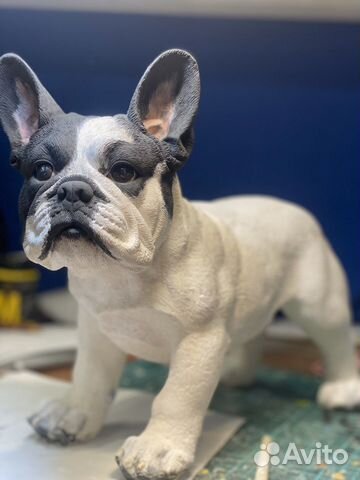 Бульдог, Йорк, питбуль - собака по фотографии