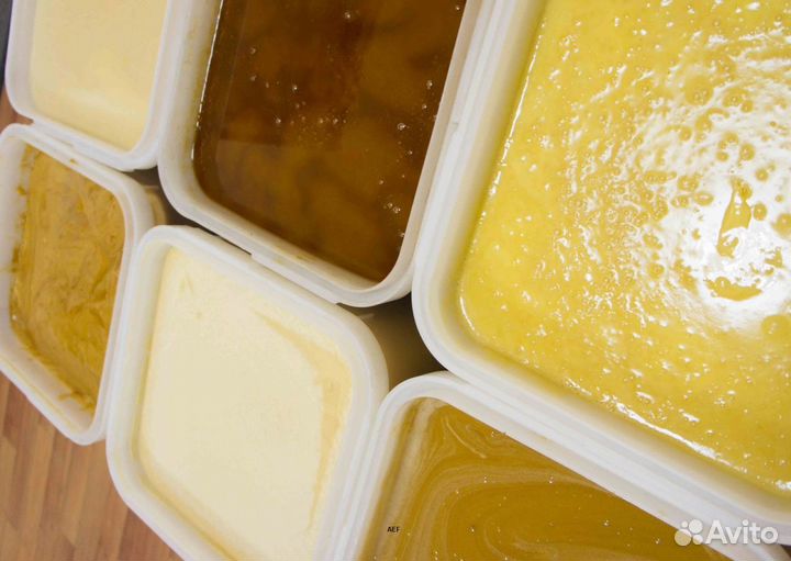 2024 Мёд натуральный с Алтая оптом