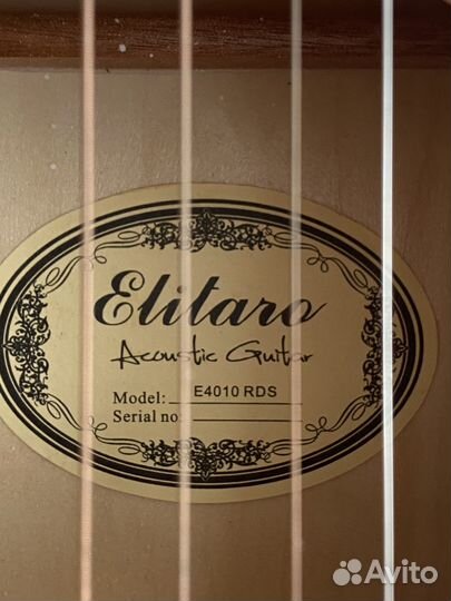 Акустическая гитара Elitaro E4010 RDS