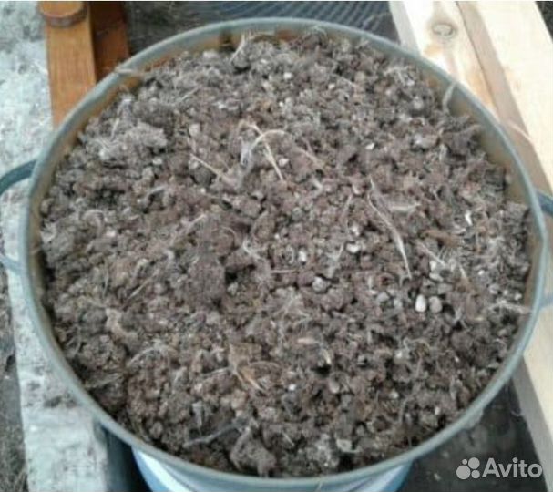 Безвозмездно перепелиный помёт