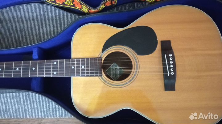 Акустическая гитара Great Lake