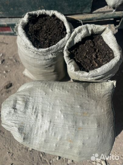 Перегной конский с доставкой