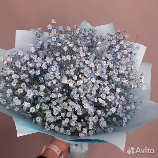 Букеты из гипсофилы на 1 сентября