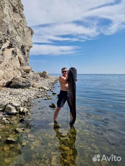 Организация рыбалки. рыбалка с гидом