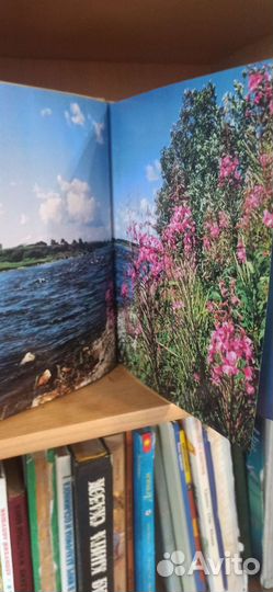 Василий Белов 