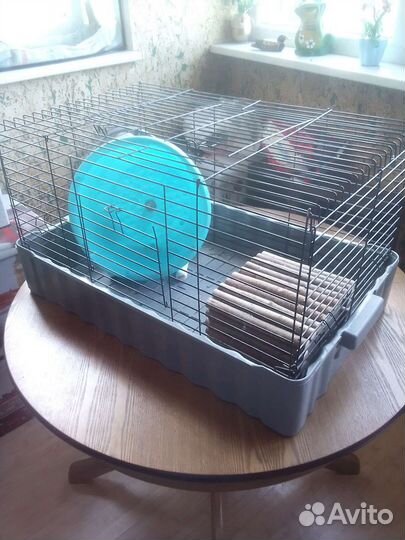 Клетка для грызунов,колесо, домик