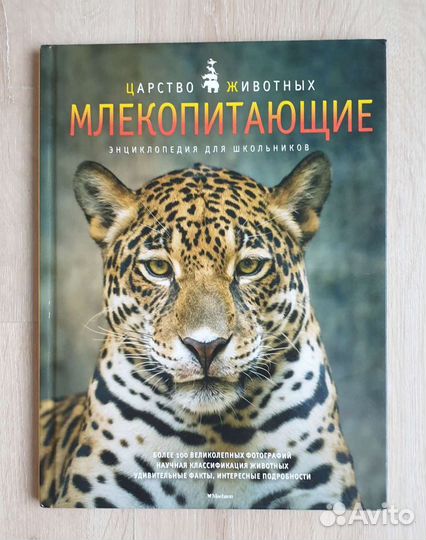 Детская энциклопедия о млекопитающих