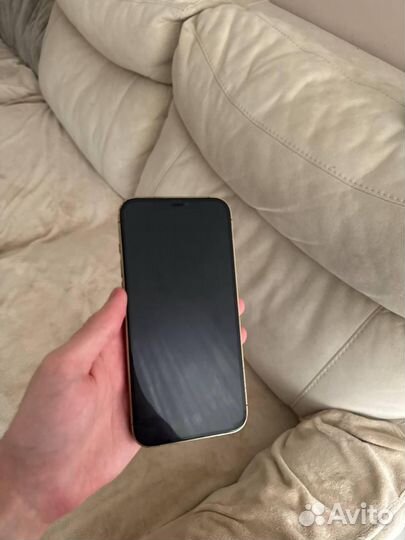 iPhone 12 Pro Max, 256 ГБ