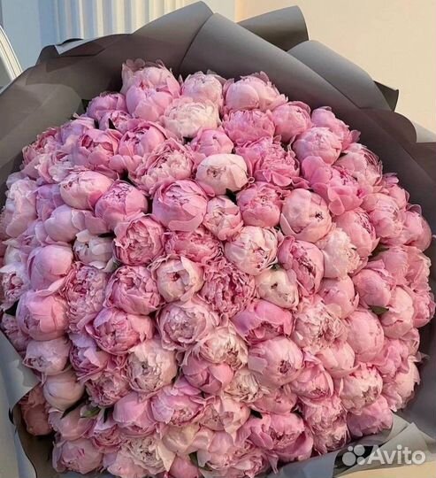 Цветы пионы Букет пионов Пионы Цветы