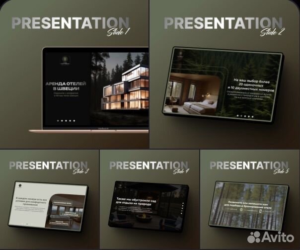 Веб дизайнер