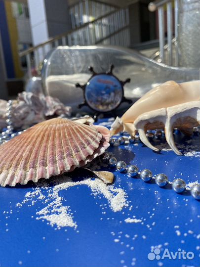 Организация детских праздников