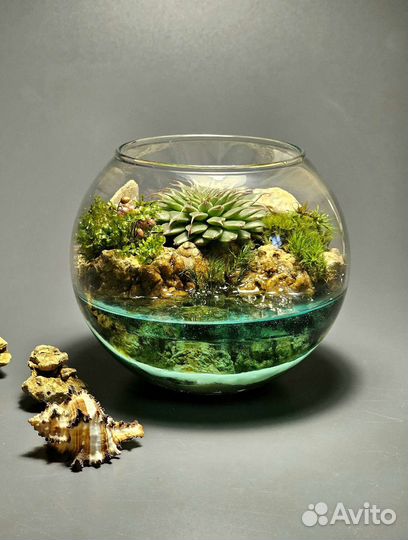 Флорариум, моссариум