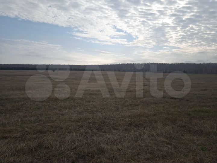 Участок 9 га (СНТ, ДНП)