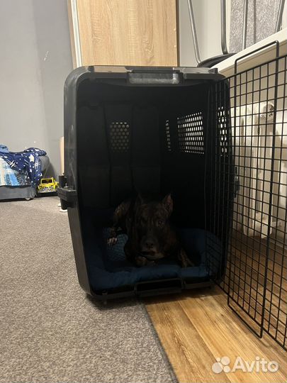 Переноска для крупных собак