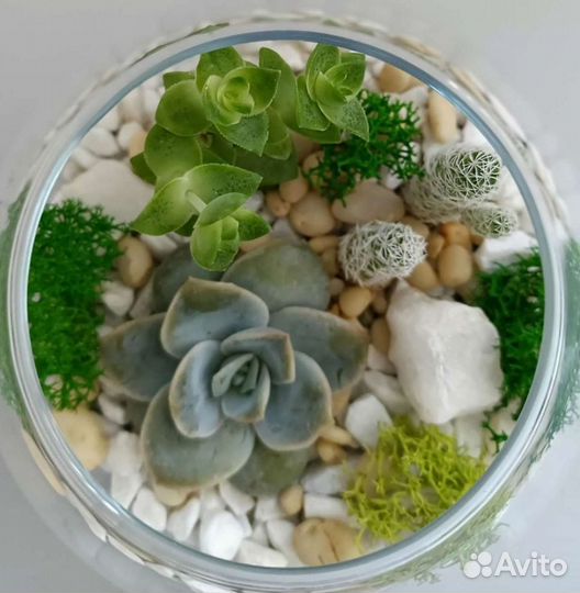 Мастер класс по созданию флорариума