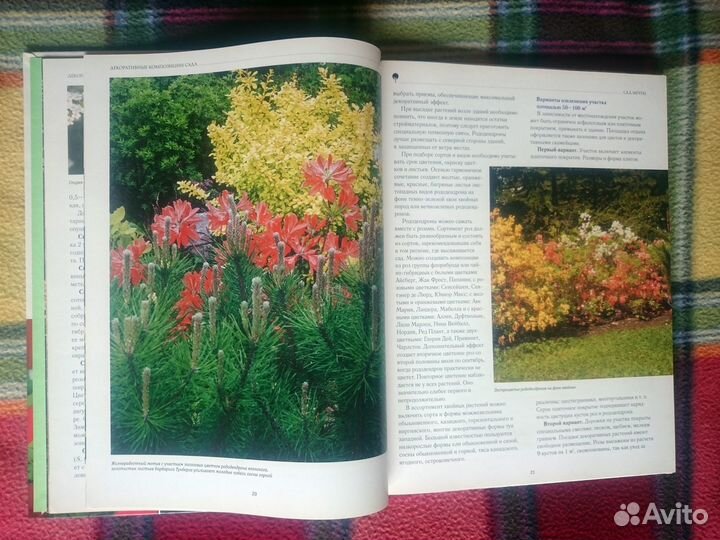 Декоративные композиции сада. Александрова