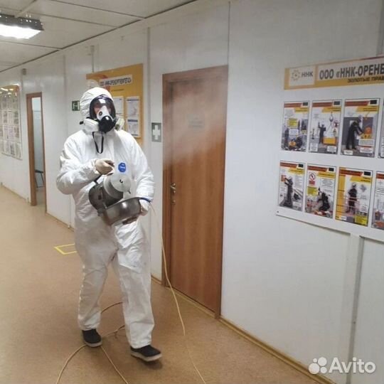 Средство для Уничтожения клопов, тараканов, крыс Дезинфекции