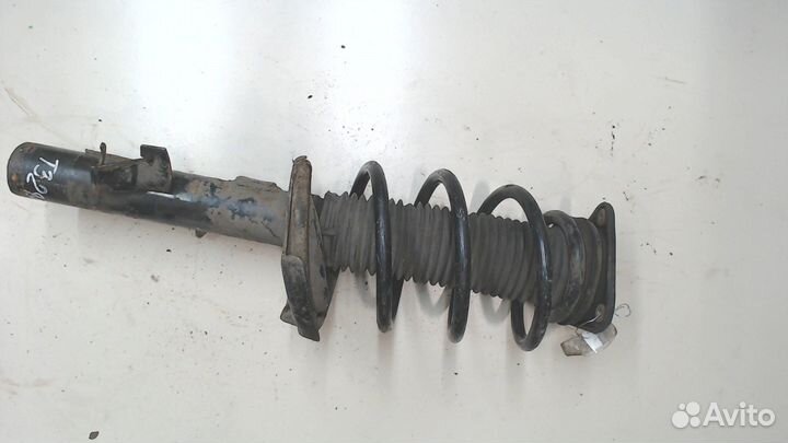 Амортизатор подвески Ford Focus 2, 2010