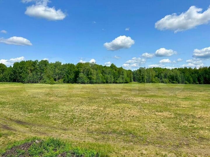 Участок 100 сот. (ИЖС)