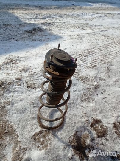 Пружина передняя Vitz