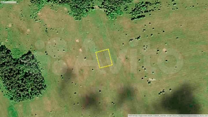 Участок 20 сот. (СНТ, ДНП)