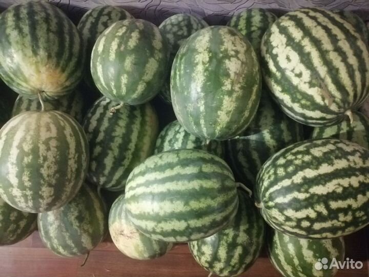 Арбузы