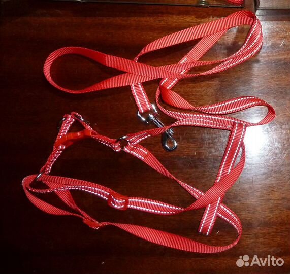 Поводок шлейка намордник