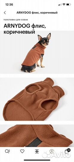 Одежда для собак