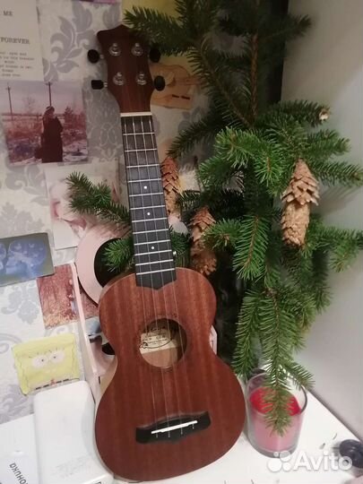 Укулеле Enya EUS-20