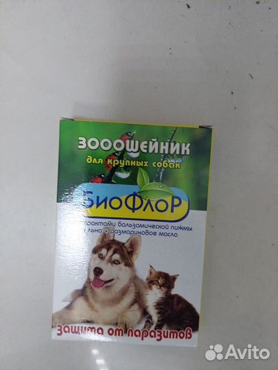 Туалет для котят