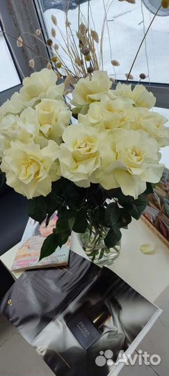 Роза Софи Лорен