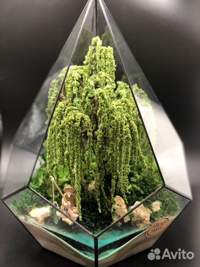 Моссариум рыбак