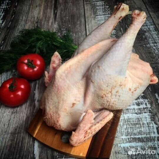 Суповая курица