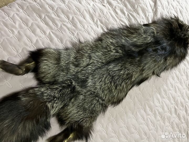 Шкура чернобурки